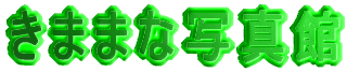 ���܂܂Ȏʐ^��